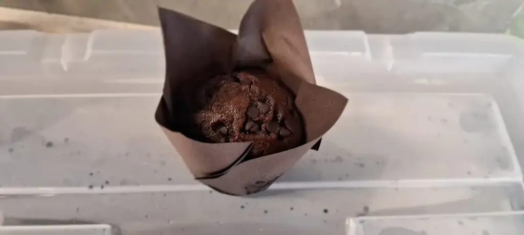 CHOCOLATE CHIPS MUFFIN