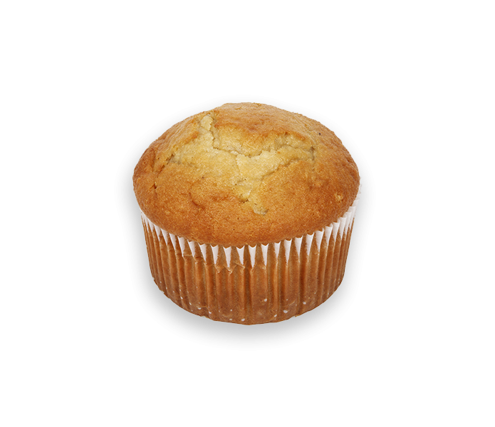 CHOCOLATE MUFFINS