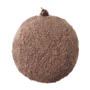 CHOCO BAVARIAN DONUT