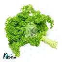PARSLEY